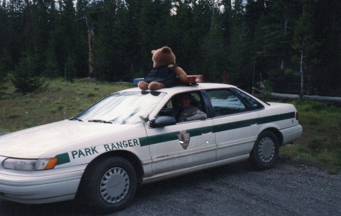 This image has an empty alt attribute; its file name is bridgerbear.jpg